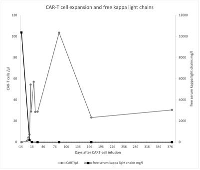 Case Report: Lymphodepletion followed by CAR-T cell therapy with Idecabtagen vicleucel in a patient with severe renal impairment